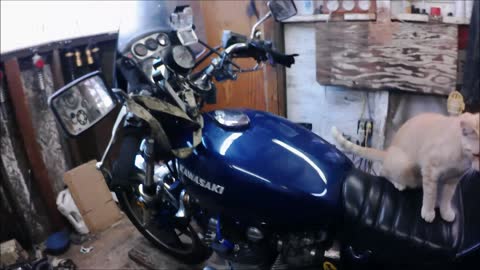Head gasket 2