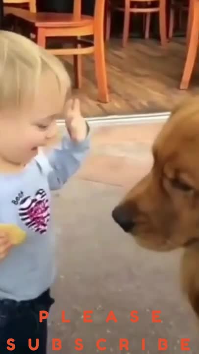 Cute little girl high fives dog