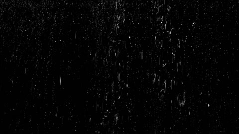 Raining Garden Rain Sounds for Sleep