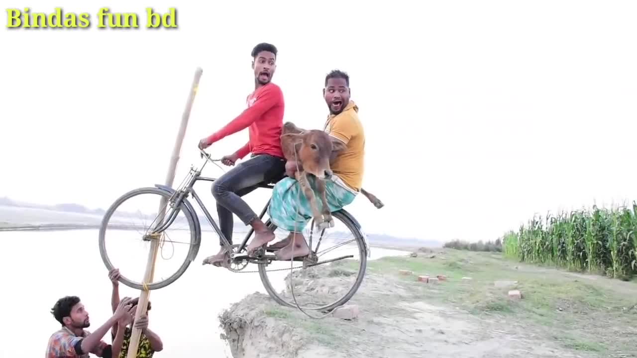 Funny video