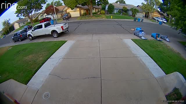 Disrespectful Kids Knocking Over Trash Cans