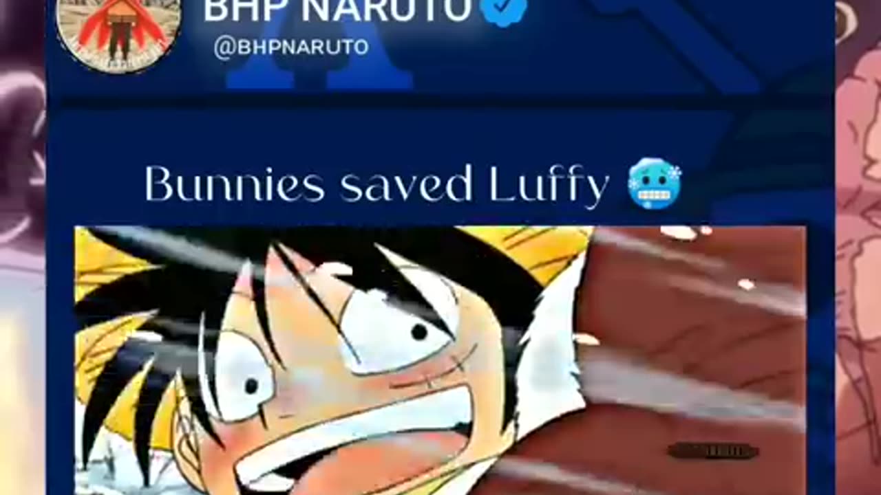 One piece luffy saves the rabbit mom🐥🐥