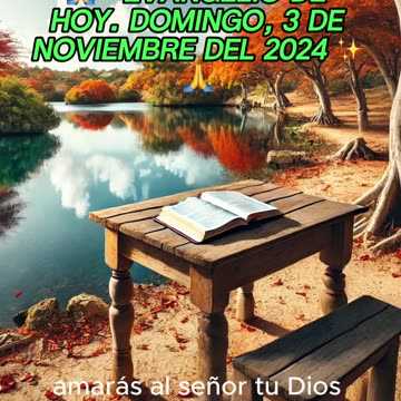 🙏✨Evangelio de HOY. Domingo, 3 de Noviembre del 2024 ✨🙏