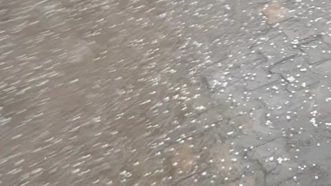 Barish