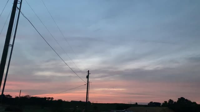 Canadian Goose Flyover