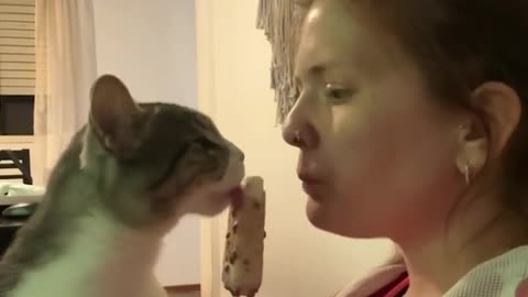 Cute Cate Shrares Ice Cream wiht _pet parent