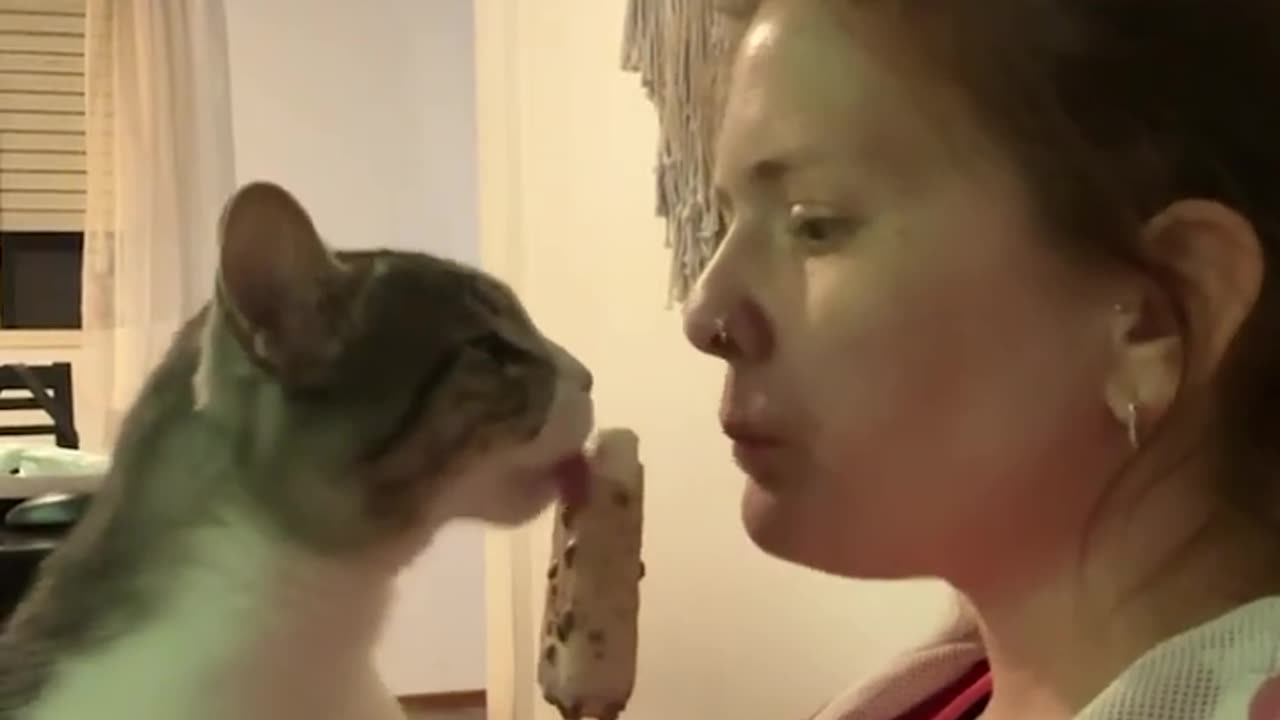 Cute Cate Shrares Ice Cream wiht _pet parent