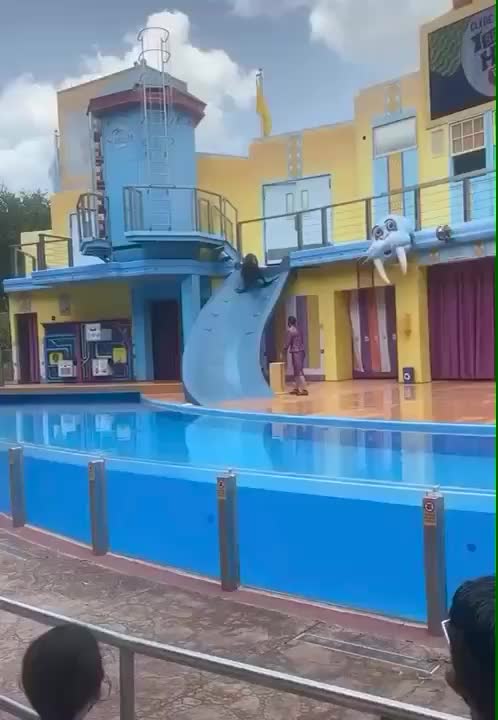 Slippery Sliding Seal