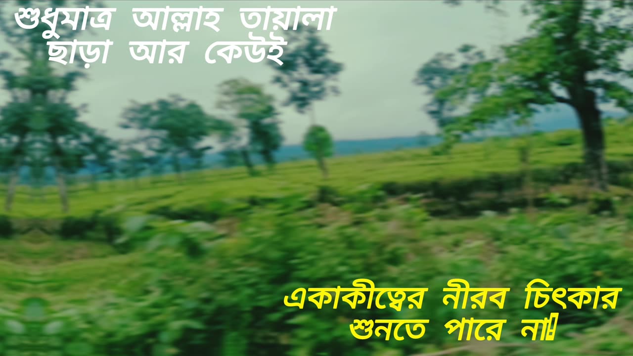 শুধুমাত্র আল্লাহ তায়ালার