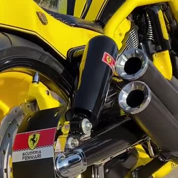 funny|prank|jokes|funny jokes|dad jokes|funny memes|funny video|fun|laughing|funny animal|knock