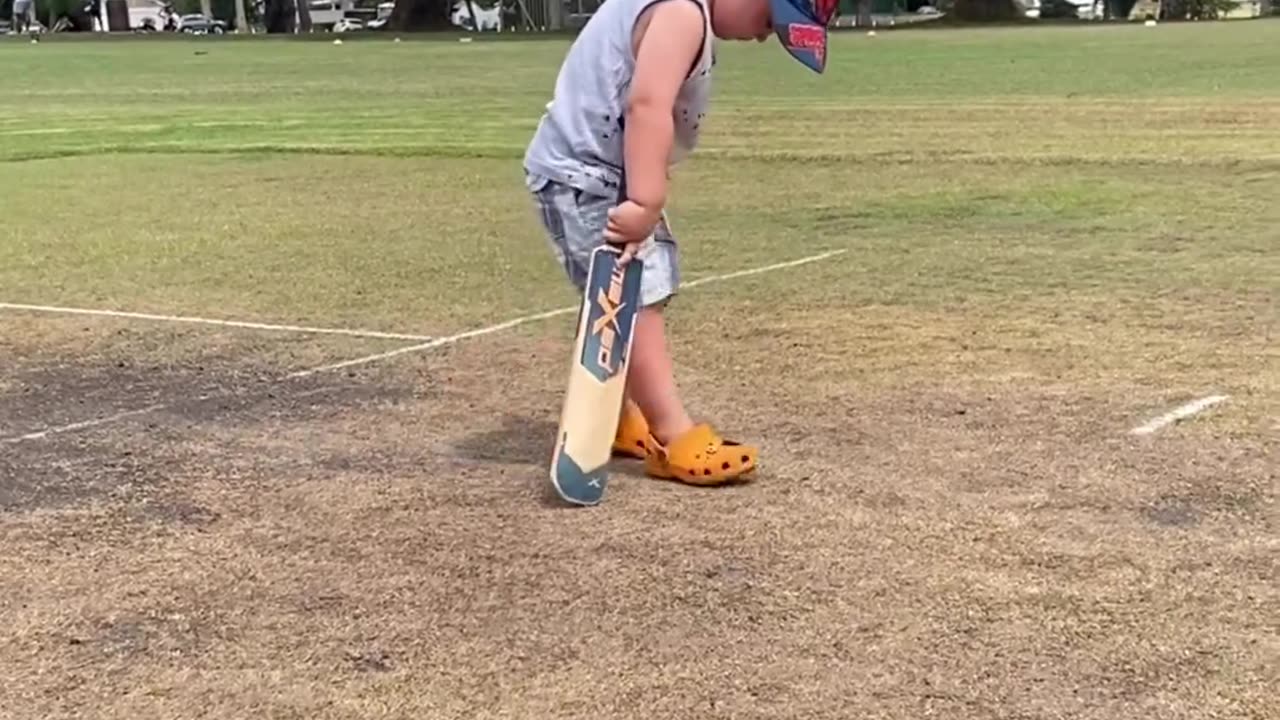 Cricket