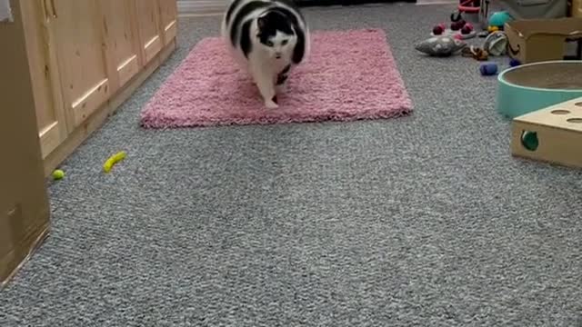 At the sound of eating, he came menacing.