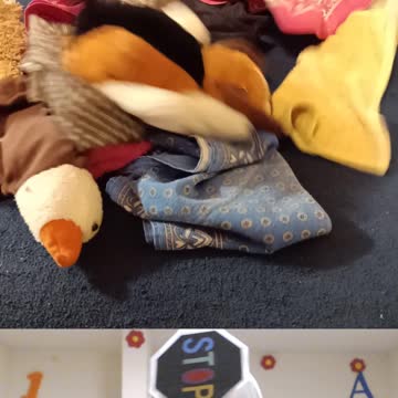 Jesus Truther Episode #39 See Christ's Omnipresent bearded face in Drop 2