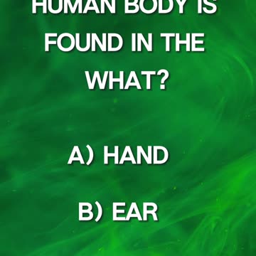 ❓Can You Answer The Question❓#18