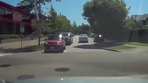 BRAINLESS DRIVERS CAUSE THE WORST ACCIDENTS IN HISTORY