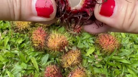 Amazing fruits cutting