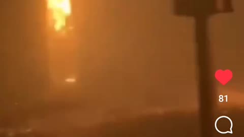 The Intentional Massacre In Maui