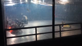 Extreme Robots Cheltenham 2018: TR3 Vs Tauron Vs Donald Thump Vs Vortex Vs Harrys Car