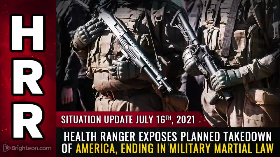 The planned takedown of America, ending in martial law