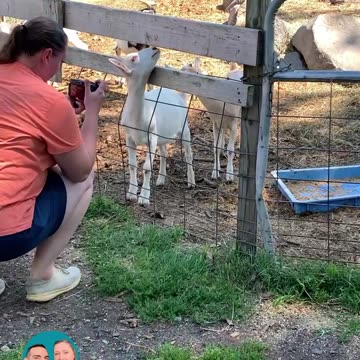 SOMETIMES YOU JUST NEED TO GOAT OUTSIDE!