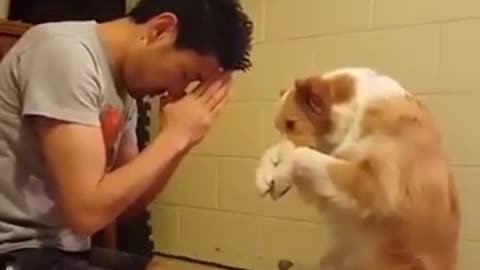 Kind dog with owner