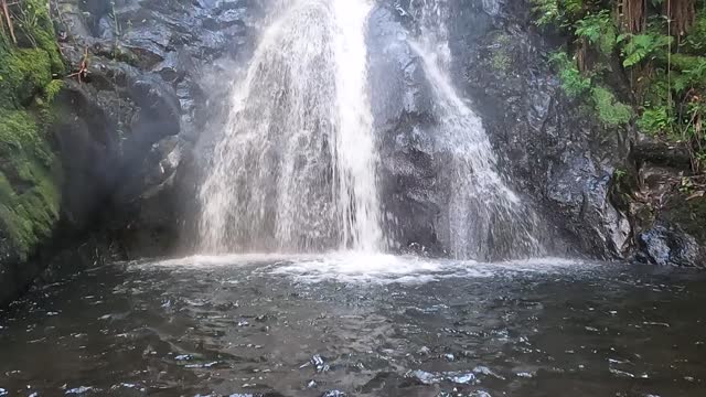 SUBMERSO