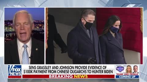 GOP senator claims it was 'obvious' Hunter Biden's laptop was authentic