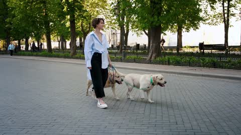 Young stylish hipster girl walking with two retriever dogs in city center park