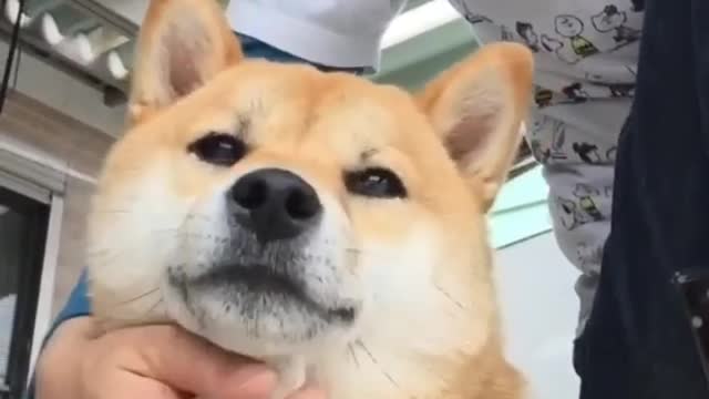 It feels good to touch me