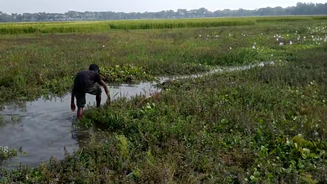 Big catfish hunting by deep hole ll amazing fishing in the natural