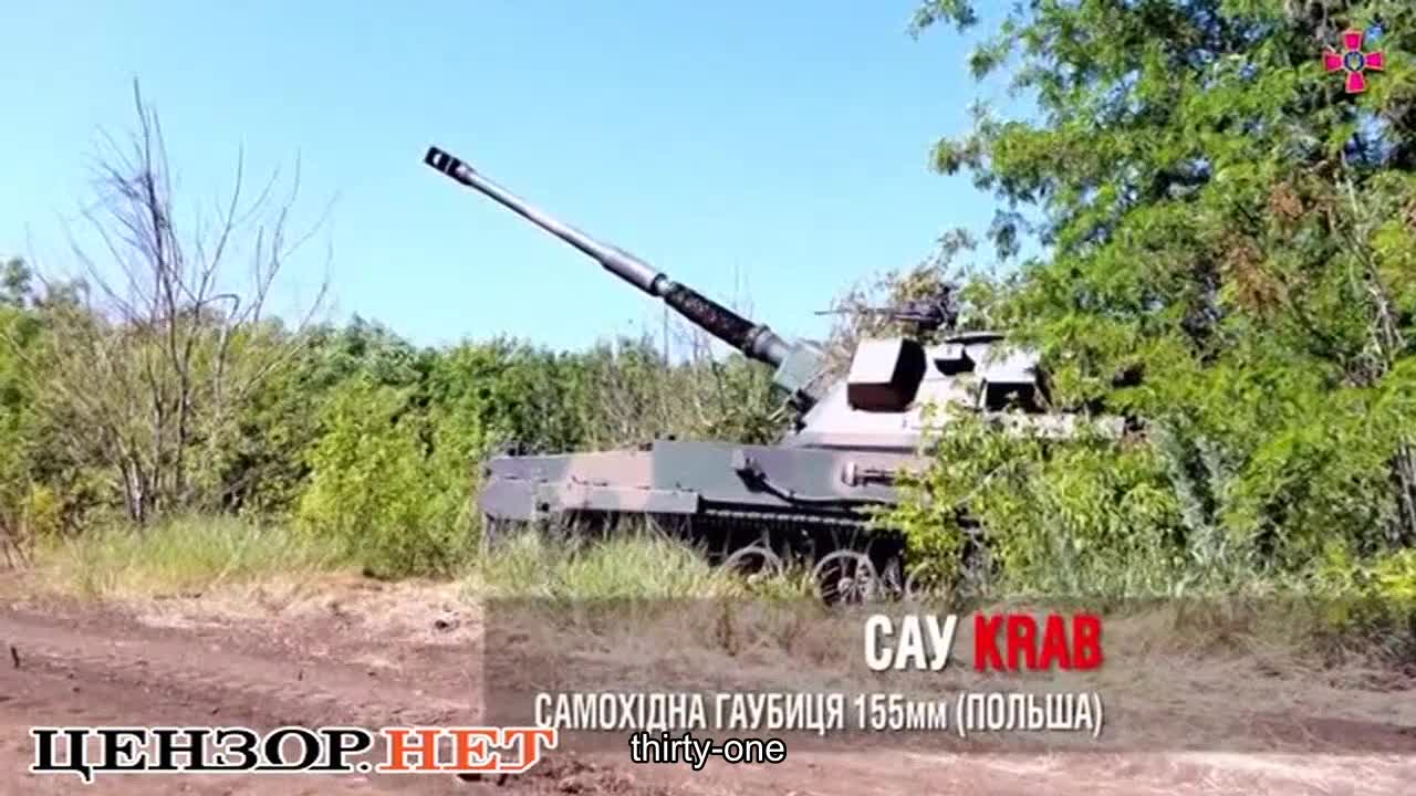 Zaluzhnyi showed the work of Polish self-propelled guns Krab on the frontline