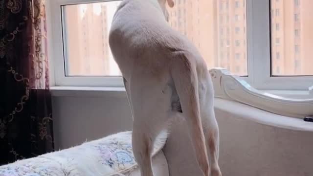 Now I want to go out and play