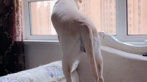 Now I want to go out and play