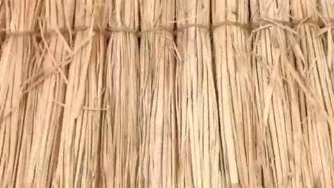 Best Funny Videos Of 2023