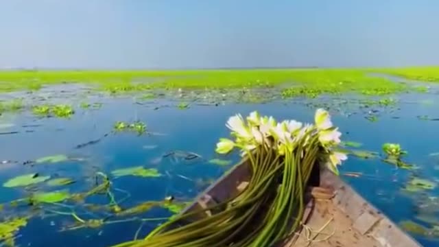 তিনবার পড়লে অথবা শুনলে এক খতম কোরআন খতমের সোয়াব পাওয়া যায়।