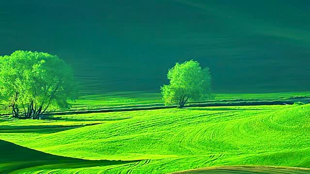 The most beautiful scenery