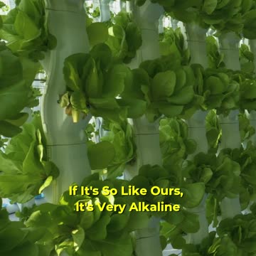 Maximize Your Garden's Potential! 🌱