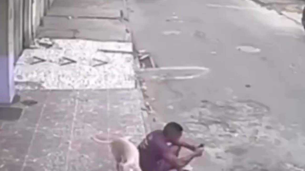 Is this dog racist?! 🐶😂🤣😂✋