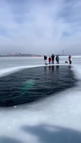 Beluga whales. So cool