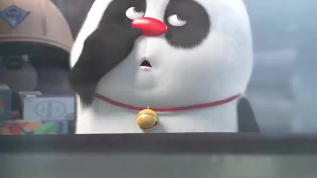 PANDA FUNNY VIDEO