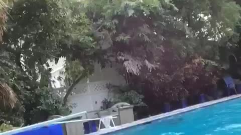 Boy's Diving Fail Ends in Hilarious Cartwheel