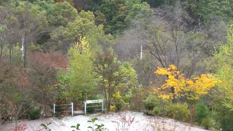 Beautiful autumn scenery of Korea 8