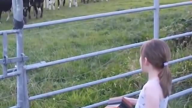 The Power of Music | Little Girl Serenades Herd Of Cows | Music is Love