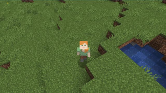 Minecraft vanilla skin version 1.17.1_ Shorts_2nd_Outting_22