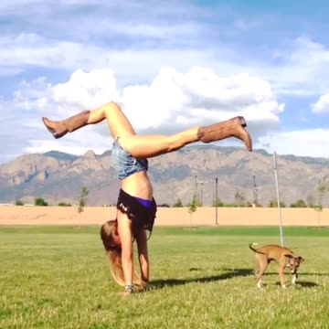 Home Yoga Fitness Workout | Free YOGA Training Videos Viral Reels | Yoga For Weight Loss female-051