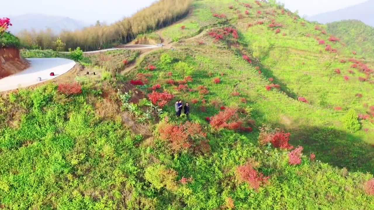 800 meters high poplar mountain