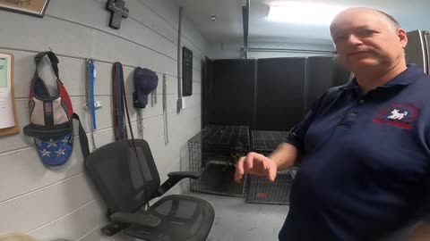 Board and Training - Hour 1 - Oliver - Establishing Relaxation in the Crate - Pt 2