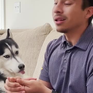 compilation | baby animals 79 | cute animals 79 | kids #shorts