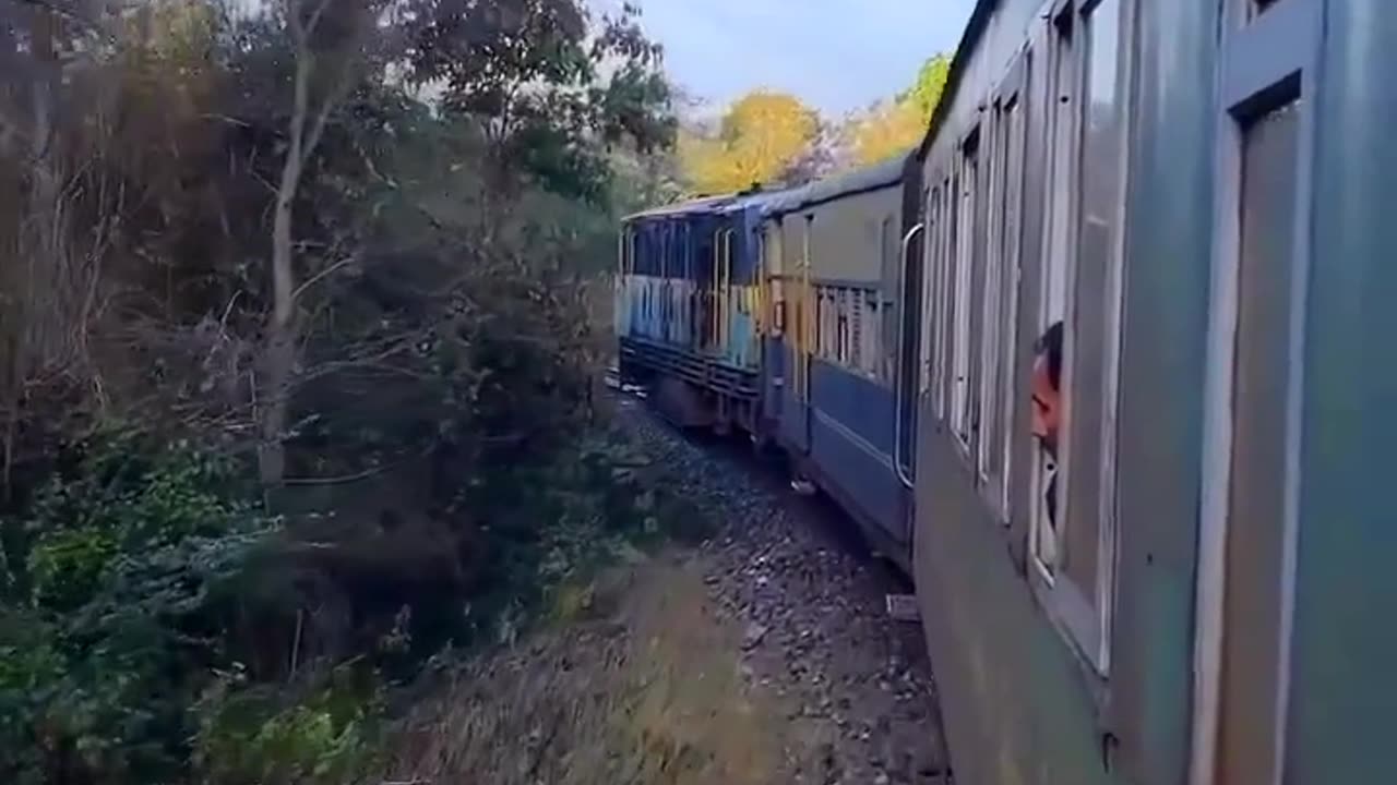 Indian toy train