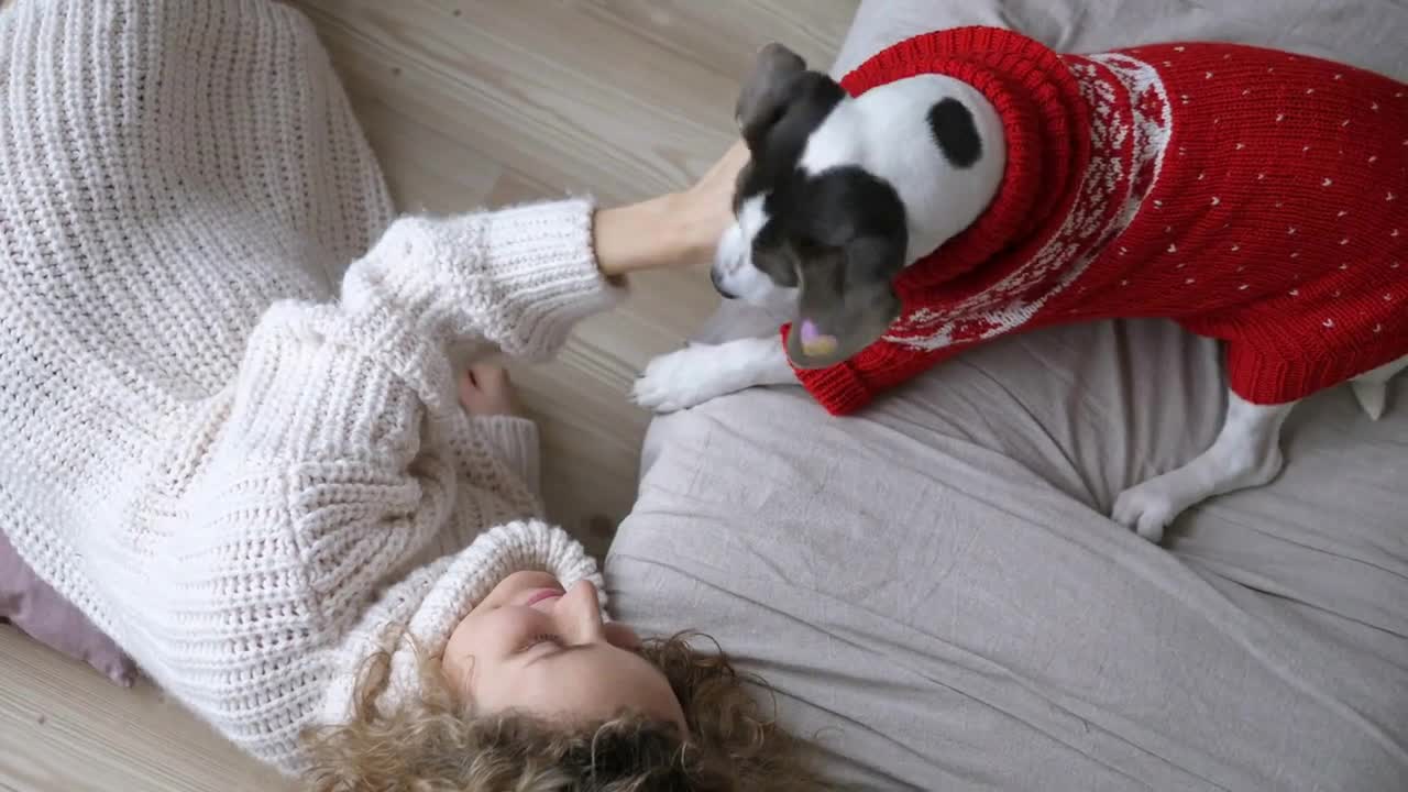 Top view of playful doggy and girl in warm sweaters enjoying their sweet company at home